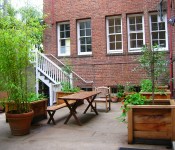 City Center Side Courtyard