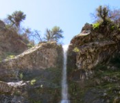 ZMC_Waterfall2011_StevenHarper_600pxcrop