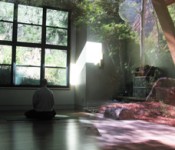 Meditation Reflection