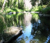 Creek View
