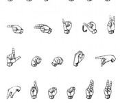Manual Alphabet