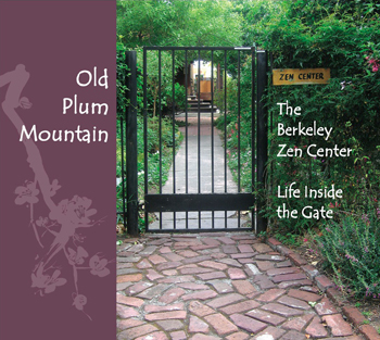 Old Plum Mountain graphic