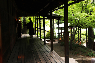 lanterns, monk, zendo eveningBen GuevaraBrightContrast