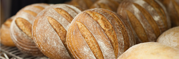 How to Become Bread – An Interview with Mick Sopko of Green Gulch Bread Bakery