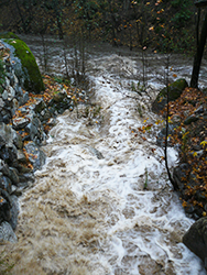 Creeks-roiling-shundo-crop