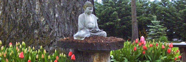 Cultivating Suzuki Roshi’s Dharma Seed in the Rogue Valley: An Introduction to Ashland Zen Center