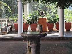 Hawk at the Fountain by Shundo Haye