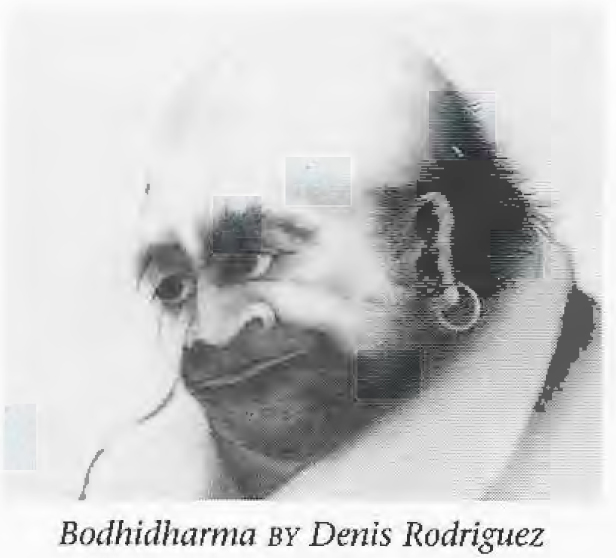 bodhidharma_by_drogriguez