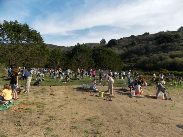 The Environment Is a Field of Practice: A Swarm of Recent Events at Green Gulch Farm
