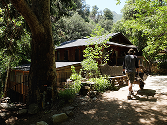 Joyous Energy: Spring Work Period at Tassajara