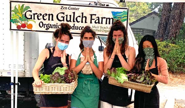 Volunteers Keep Green Gulch Farm at the Farmers Market