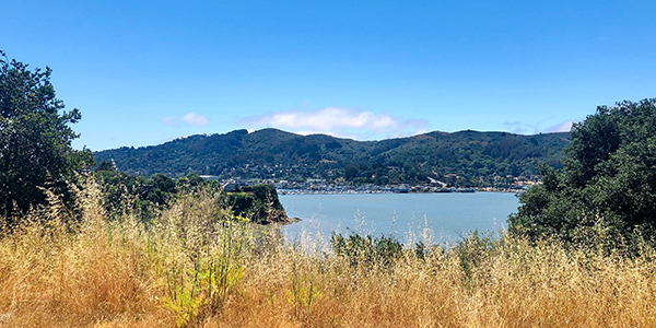 View of Marin