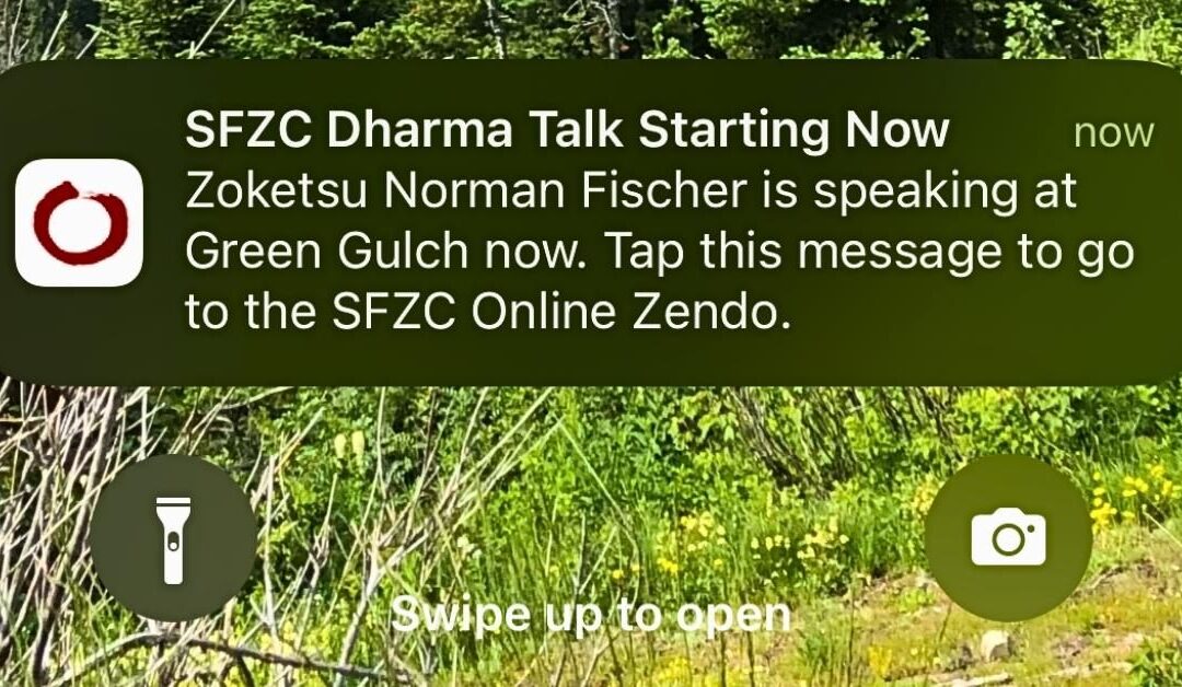SFZC Dharma App: Zen at Your Fingertips
