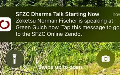 SFZC Dharma App: Zen at Your Fingertips