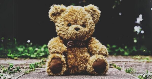Teddy bear from Clara House website