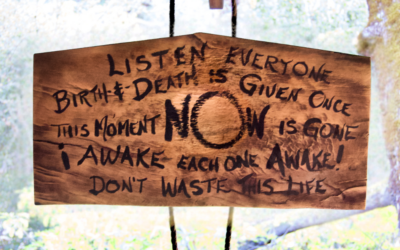 Tassajara Zendo Fire 2026