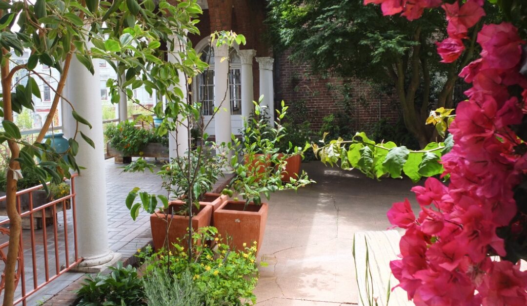Care and Tending the City Center Gardens
