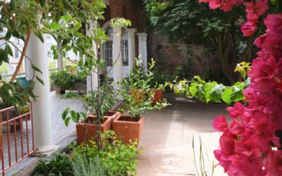 Care and Tending the City Center Gardens